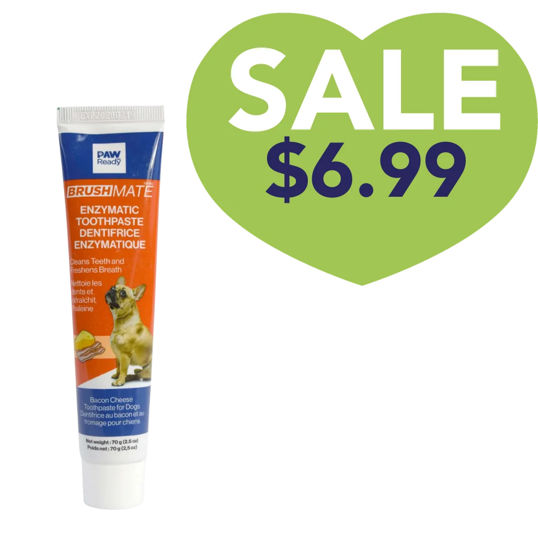 Brushmate Toothpaste Bacon Cheese 2.5oz by Paw Ready