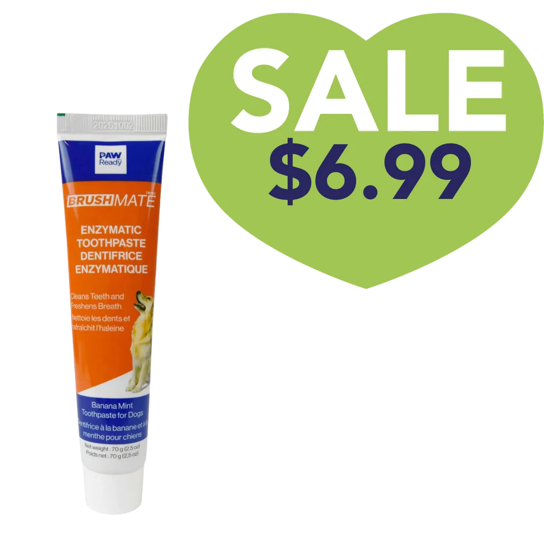 Brushmate Toothpaste Banana Mint 2.5oz by Paw Ready