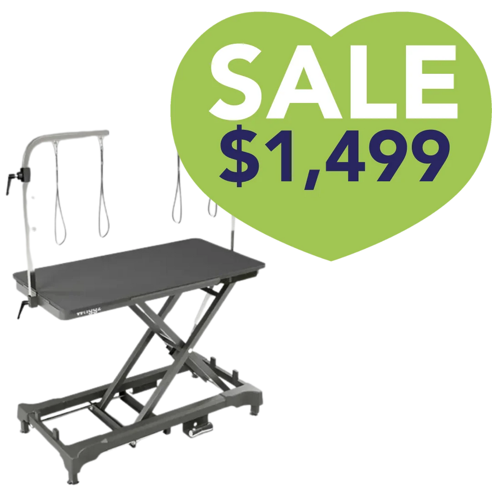 Pre-Order 50" Dog Grooming 908 Electric Table without Drawer Black by Waggz