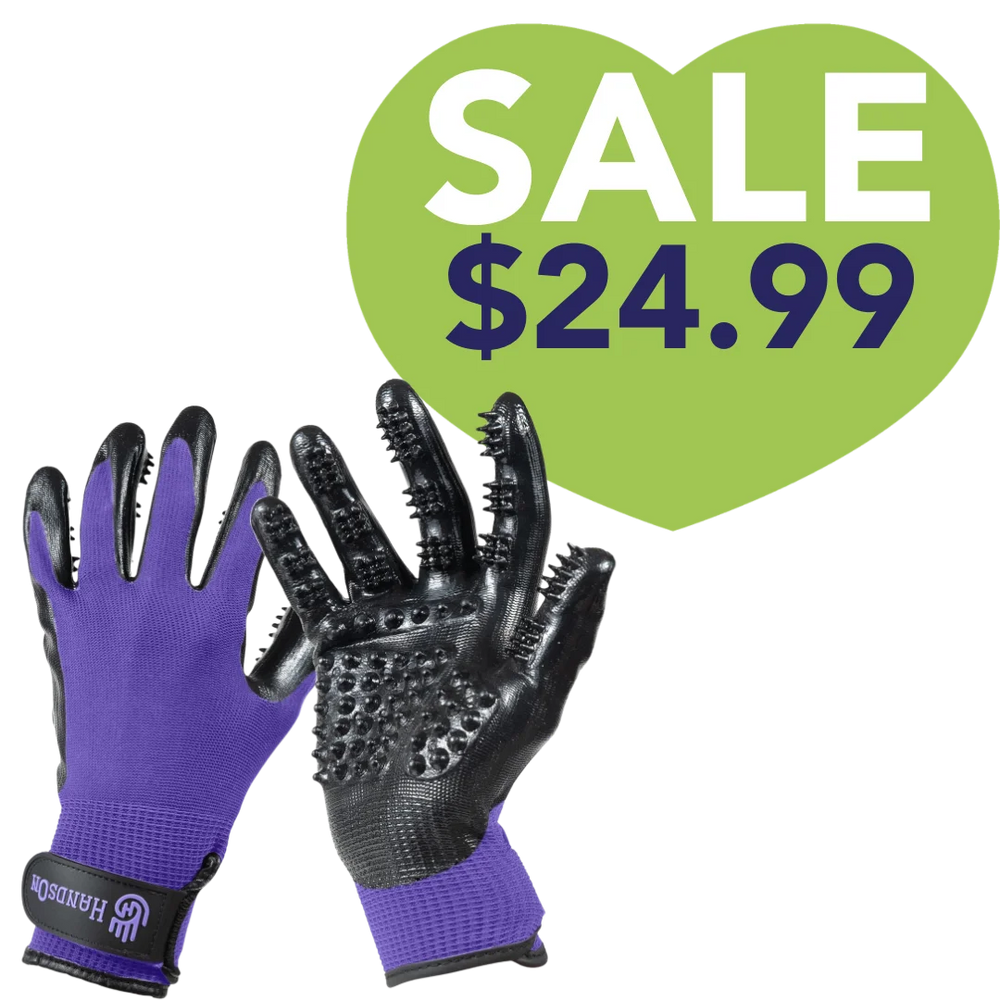 Purple Monochromatic Deshedding Gloves by HandsOn Gloves