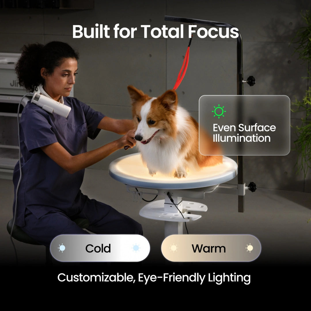 Revolve360 Hydraulic 360° Rotating Grooming Table with Tabletop Light by Jirpet