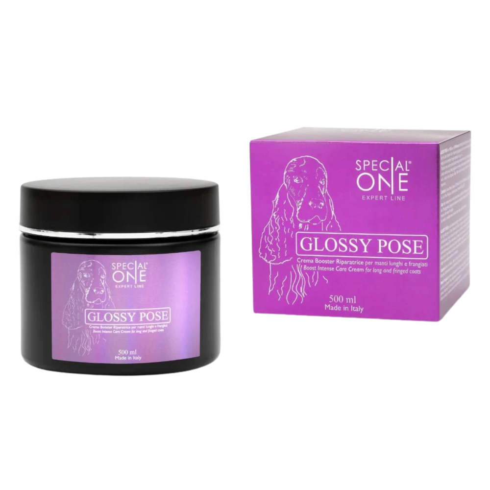 special-one-glossy-pose-500-ml