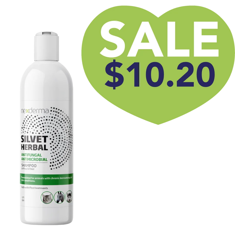 Nexderma Silvet Herbal Antifungal Antimicrobial Shampoo 16oz Sale