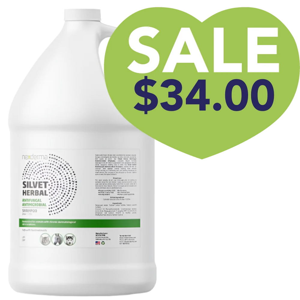 Nexderma Silvet Herbal Antifungal Antimicrobial Shampoo Gallon Sale