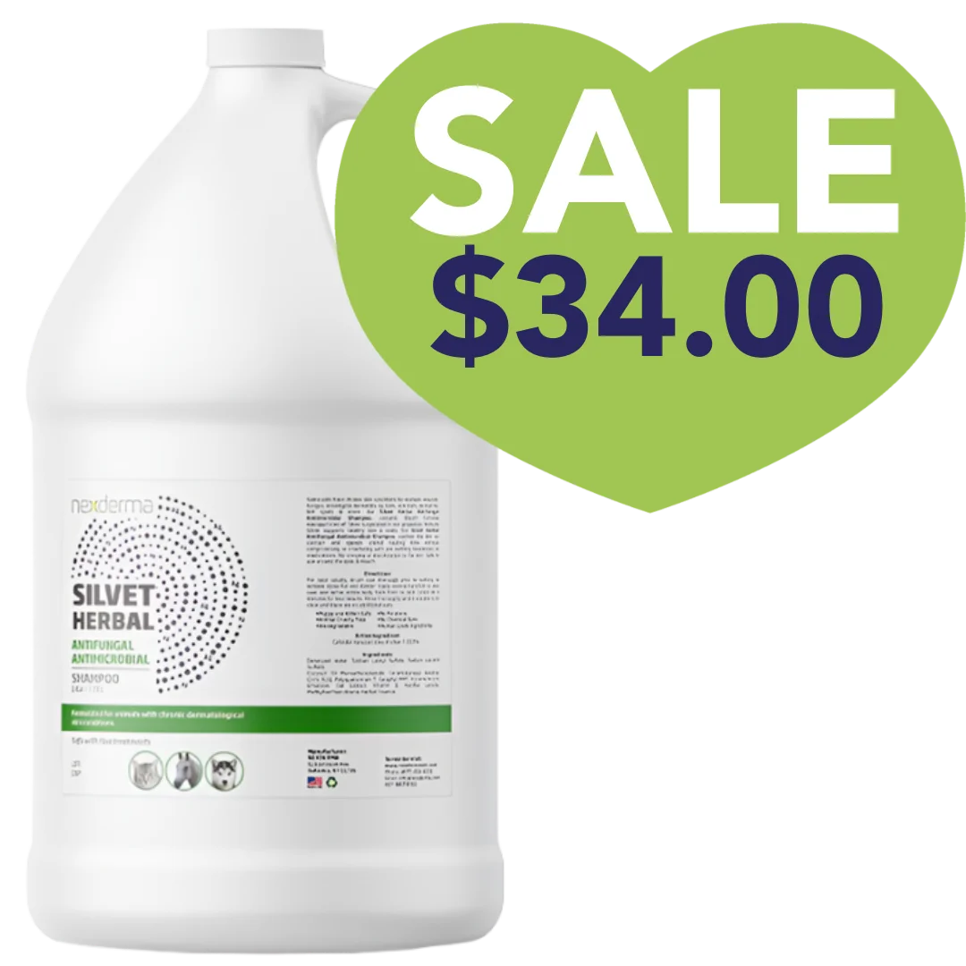 Nexderma Silvet Herbal Antifungal Antimicrobial Shampoo Gallon Sale