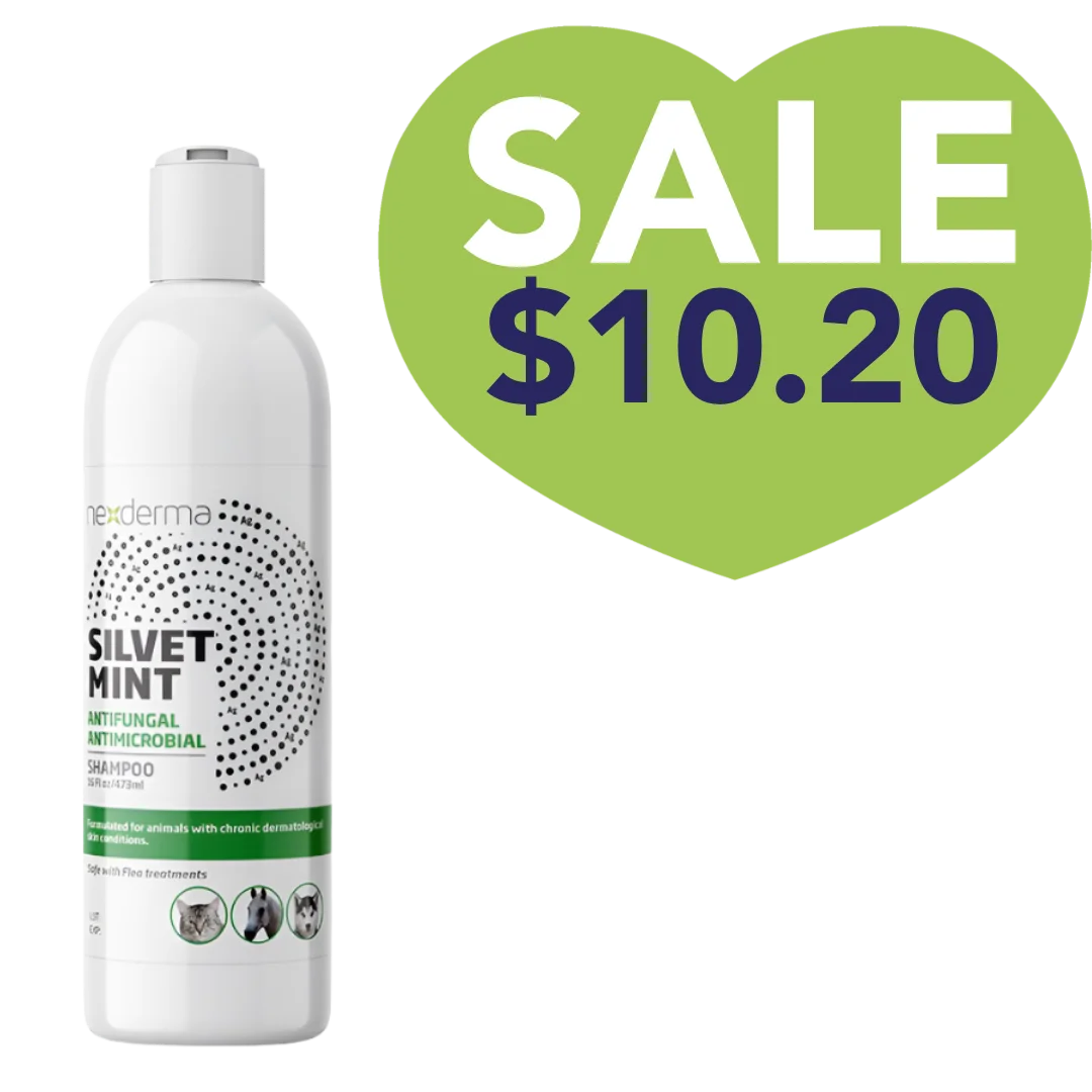 Nexderma Silvet Mint Antifungal Antimicrobial Shampoo 16oz Sale