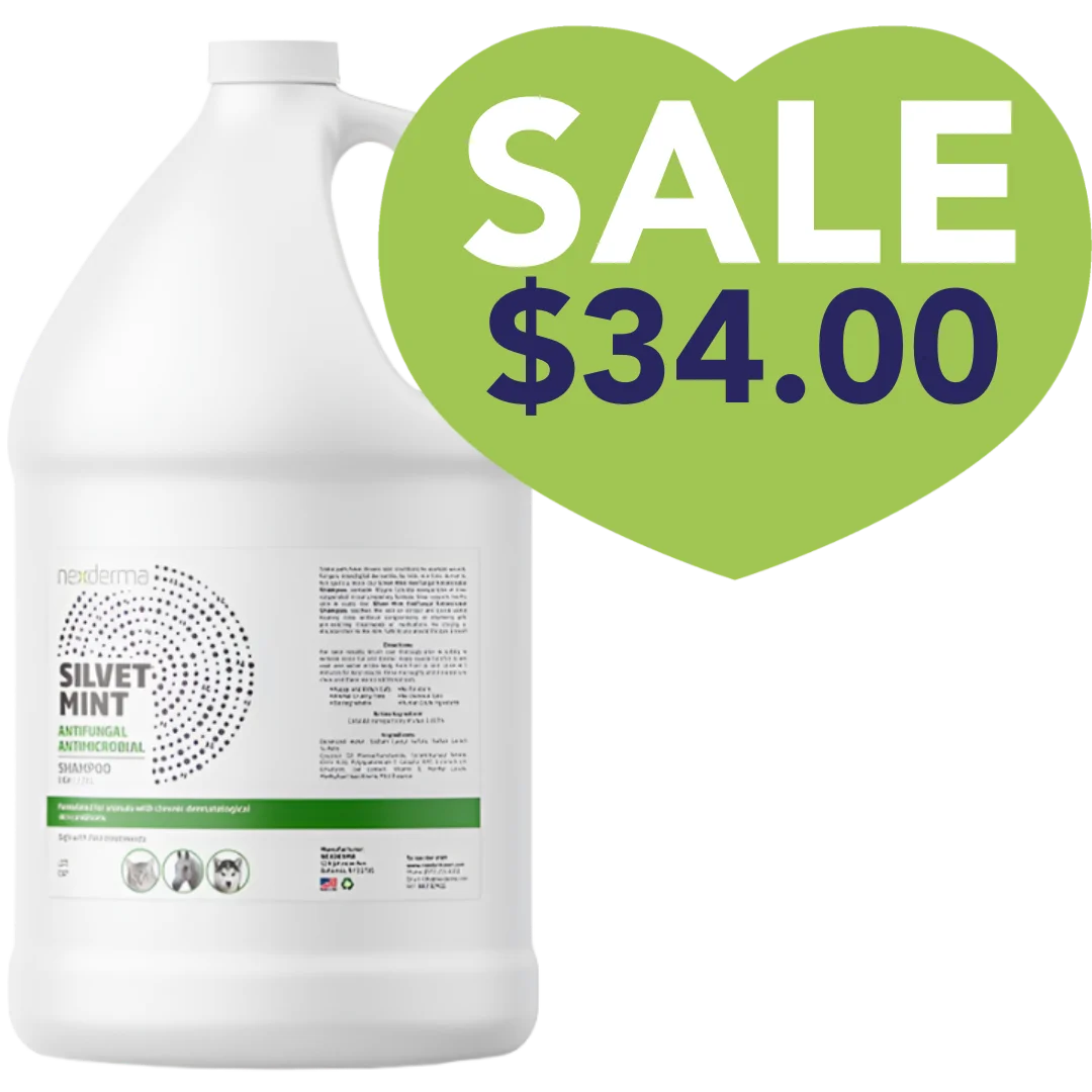 Nexderma Silvet Mint Antifungal Antimicrobial Shampoo Gallon Sale