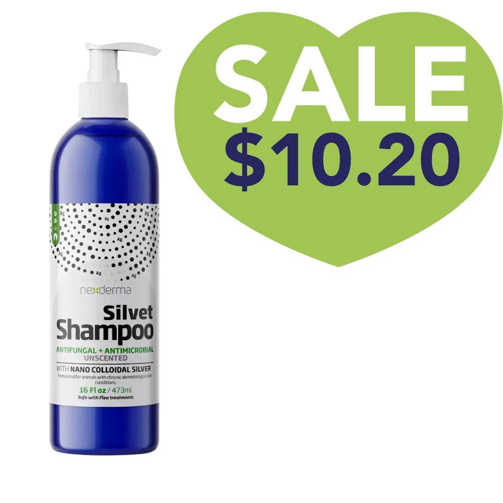 Nexderma Silvet Unscented Antifungal Antimicrobial Shampoo 16oz Sale 