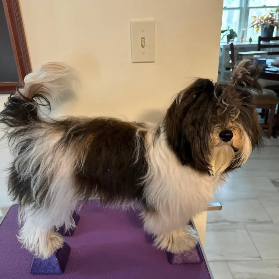 Stacking Blocks Medium Jolly Blue by Vanity Fur