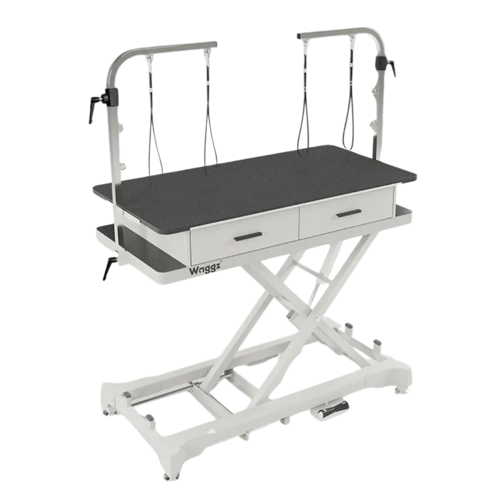 50" Dog Grooming 908 Electric Table with Drawer White by Waggz