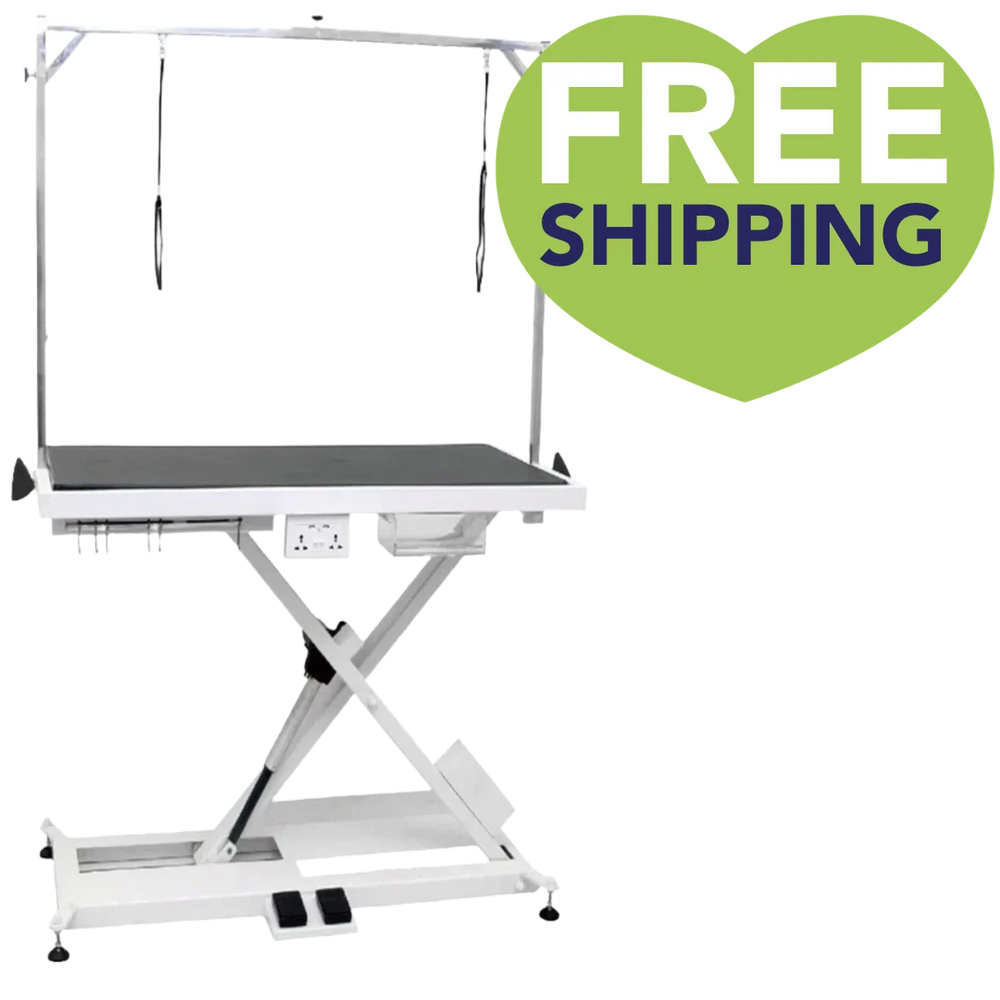 X-Style Electric Lifting Table - 49" Top PetStore.Direct