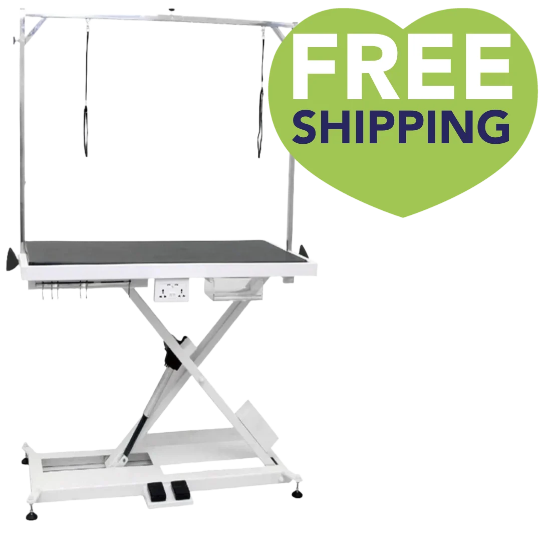 X-Style Electric Lifting Table - 49