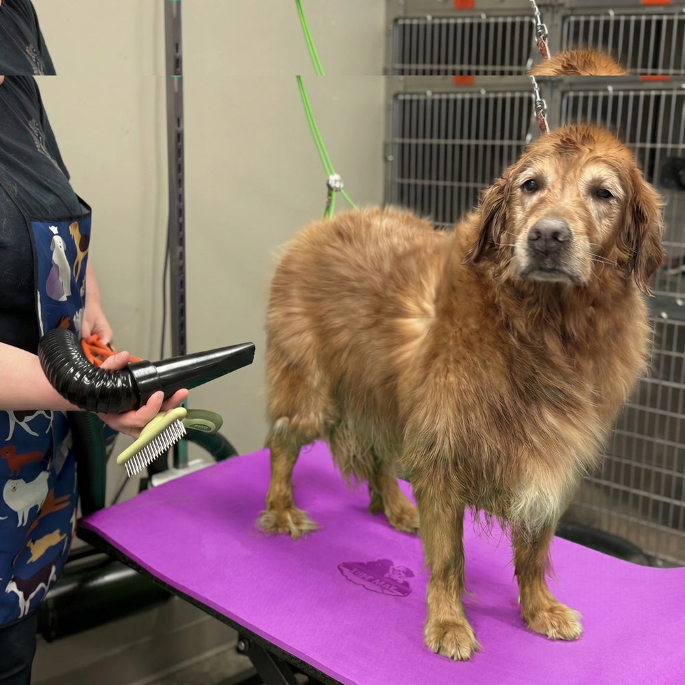all-for-groomers-48x24-tuff-mat-purple