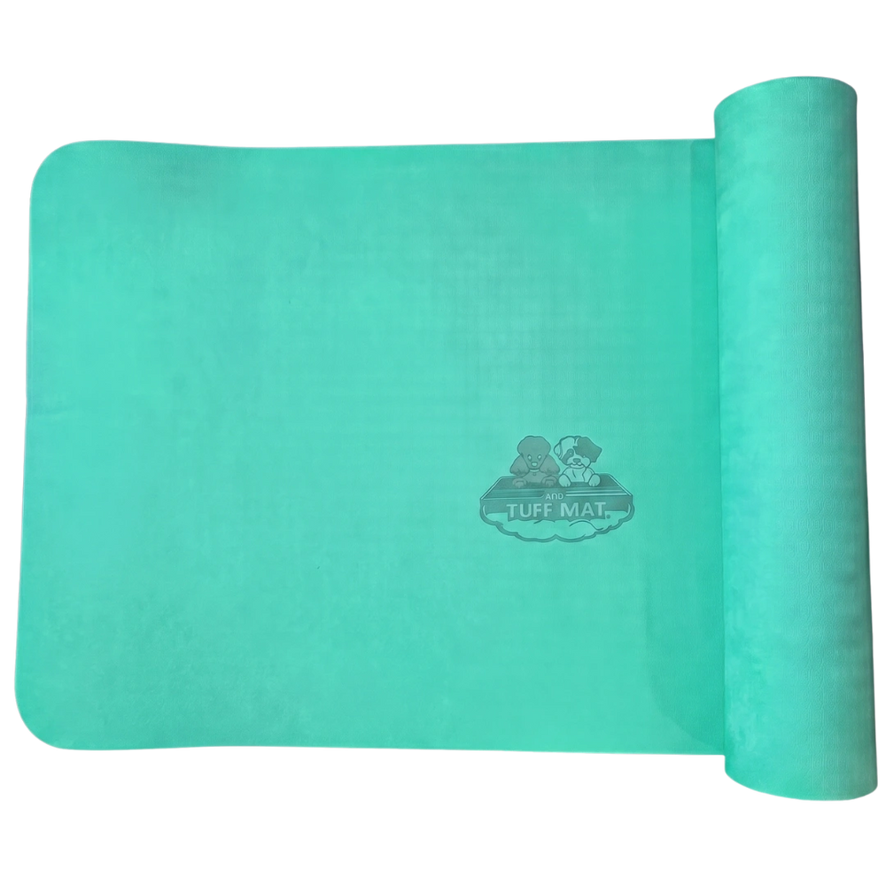  all-for-groomers-48x24-tuff-mat-teal