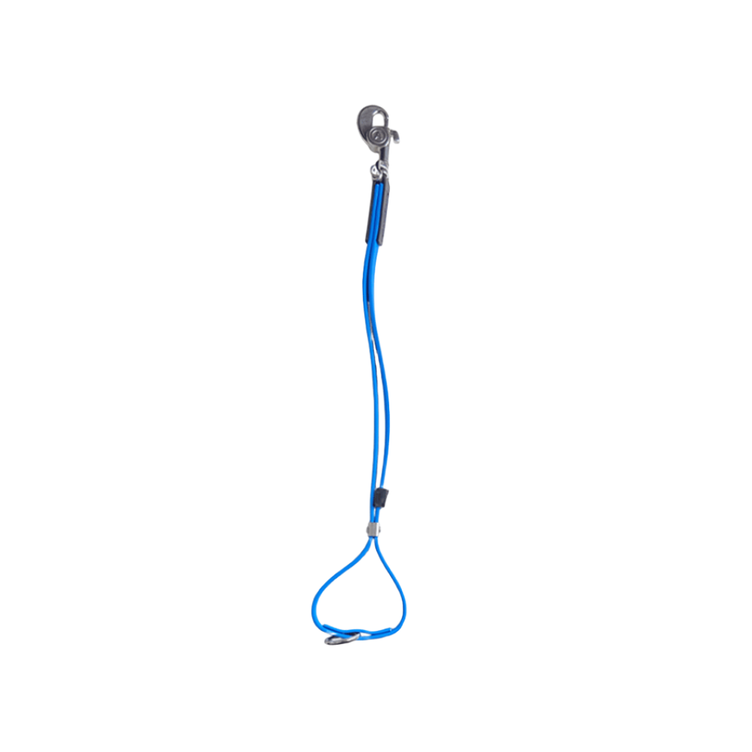 AXL Loop in Blue by Alpha Grooming