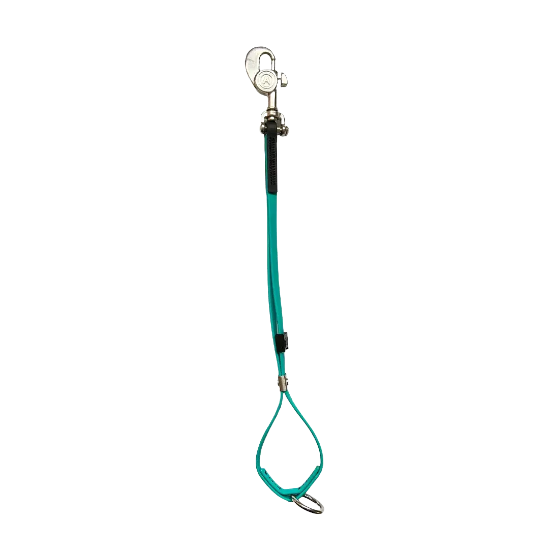 AXL Shorty Loop Teal by Alpha Grooming