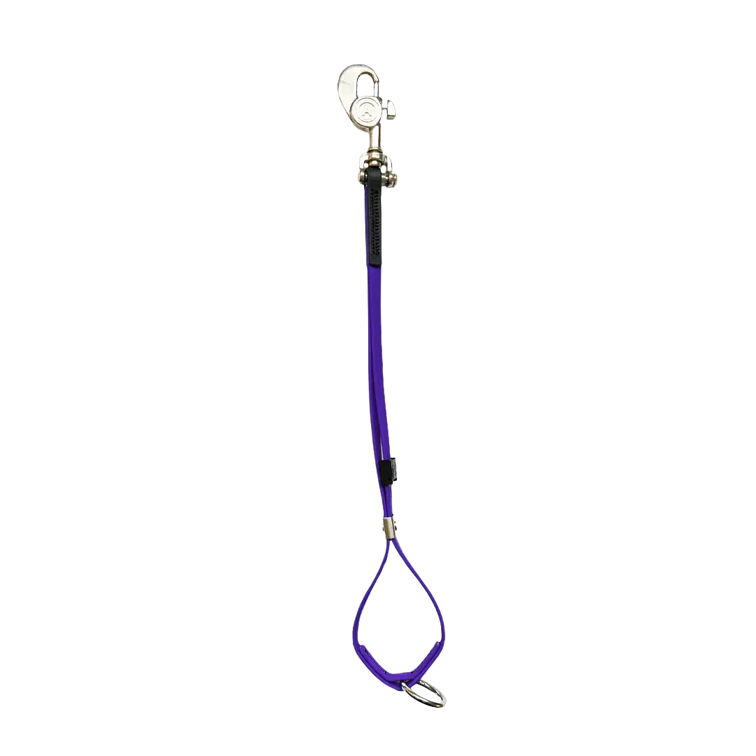 AXL Shorty Loop Violet by Alpha Grooming