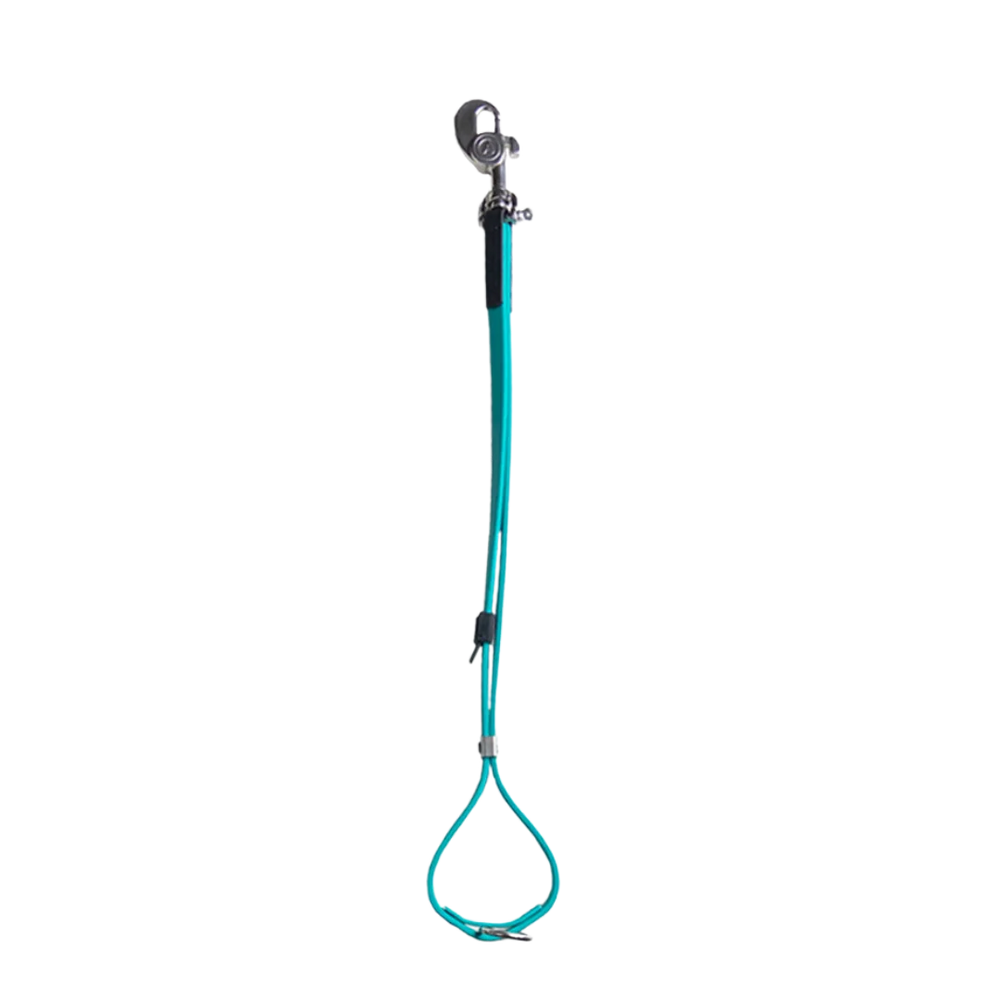 AXL Loop in Teal by Alpha Grooming