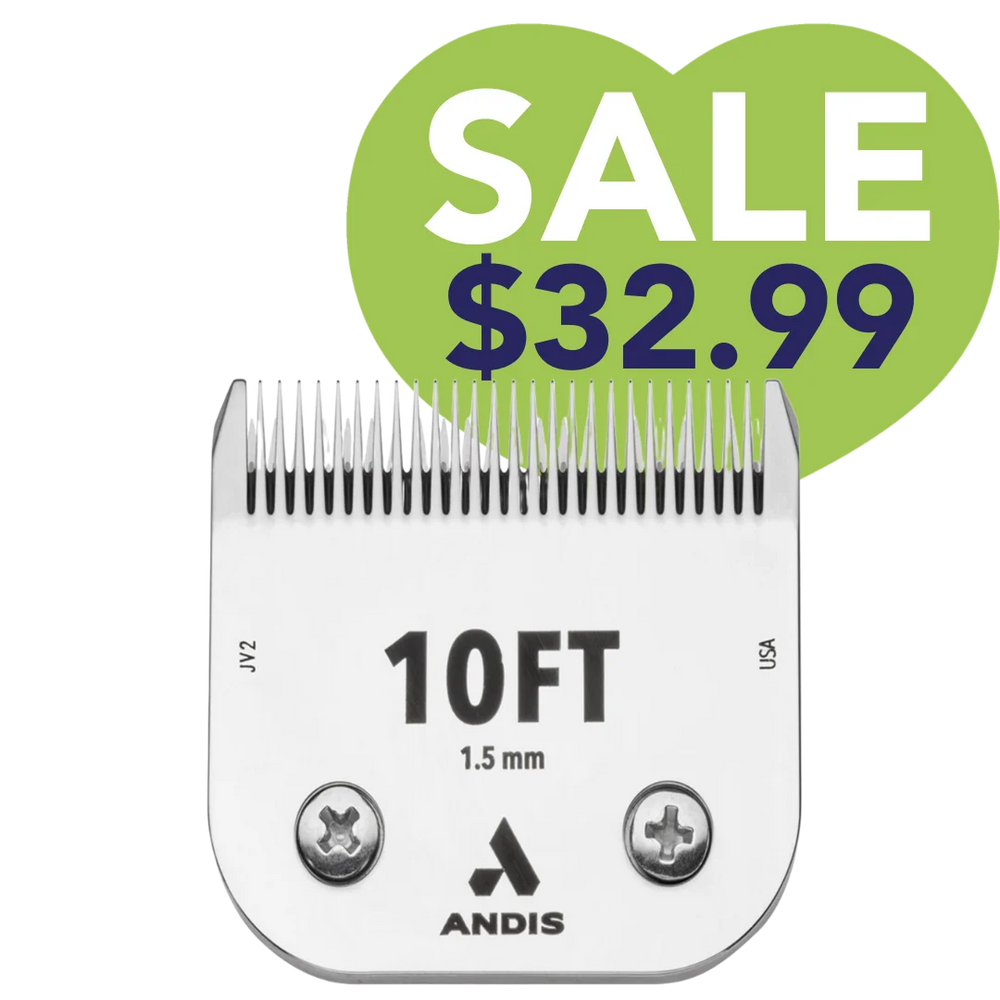 #10FT CeramicEdge Detachable Blade by Andis