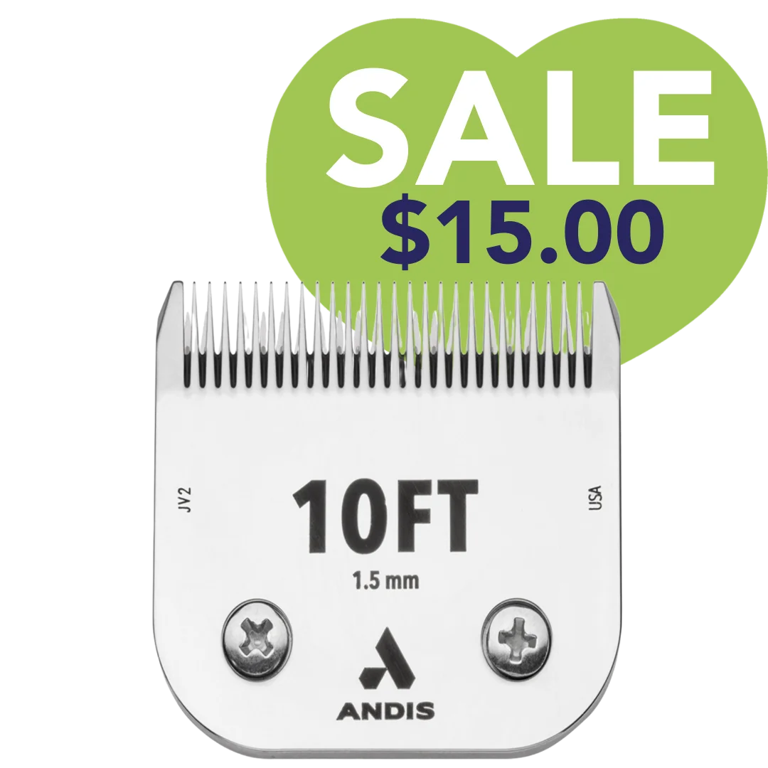 #10FT CeramicEdge Detachable Blade by Andis