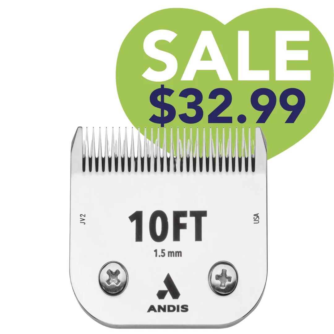 #10FT CeramicEdge Detachable Blade by Andis