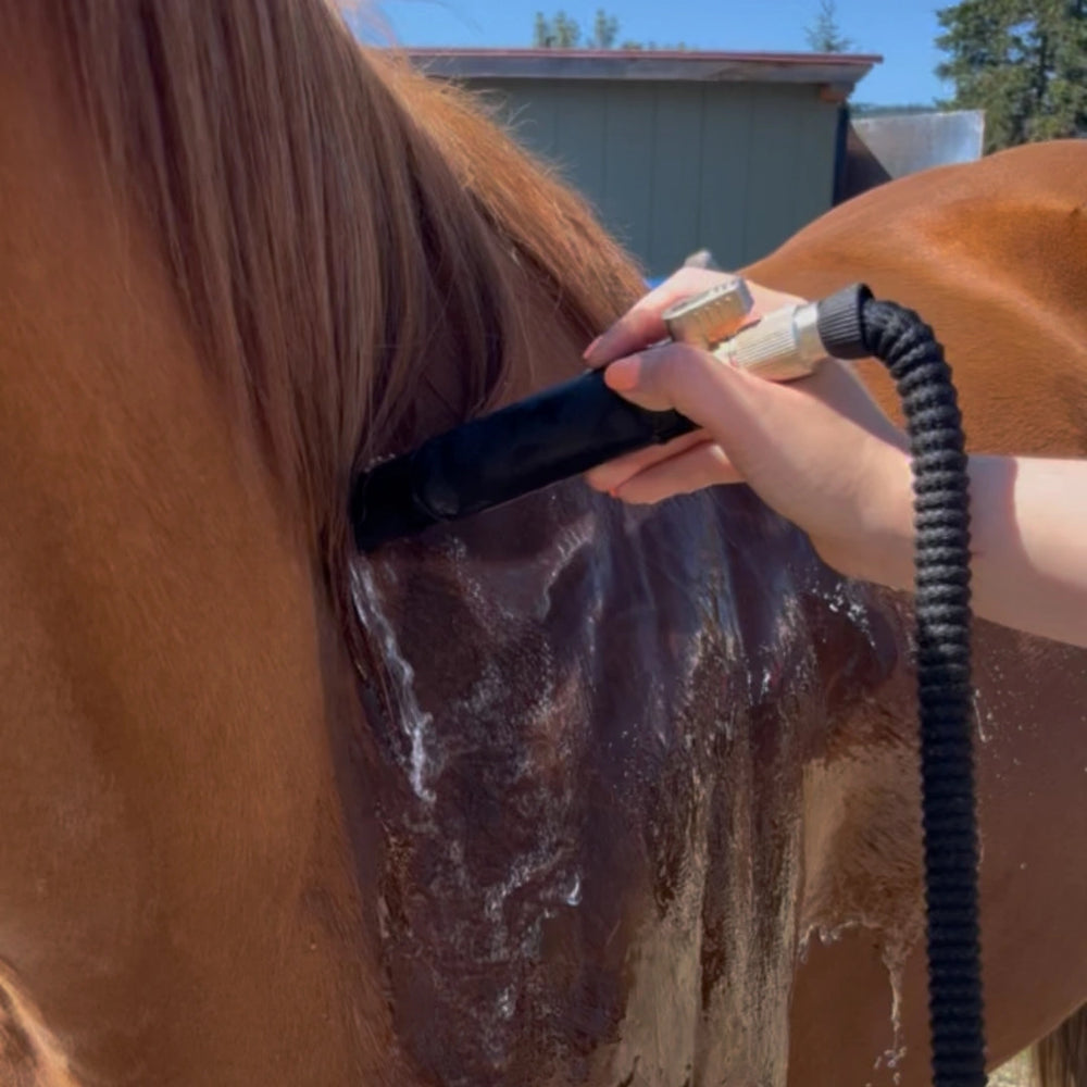 aquapulse-hydro-therapeutic-massage-nozzle-for-dogs