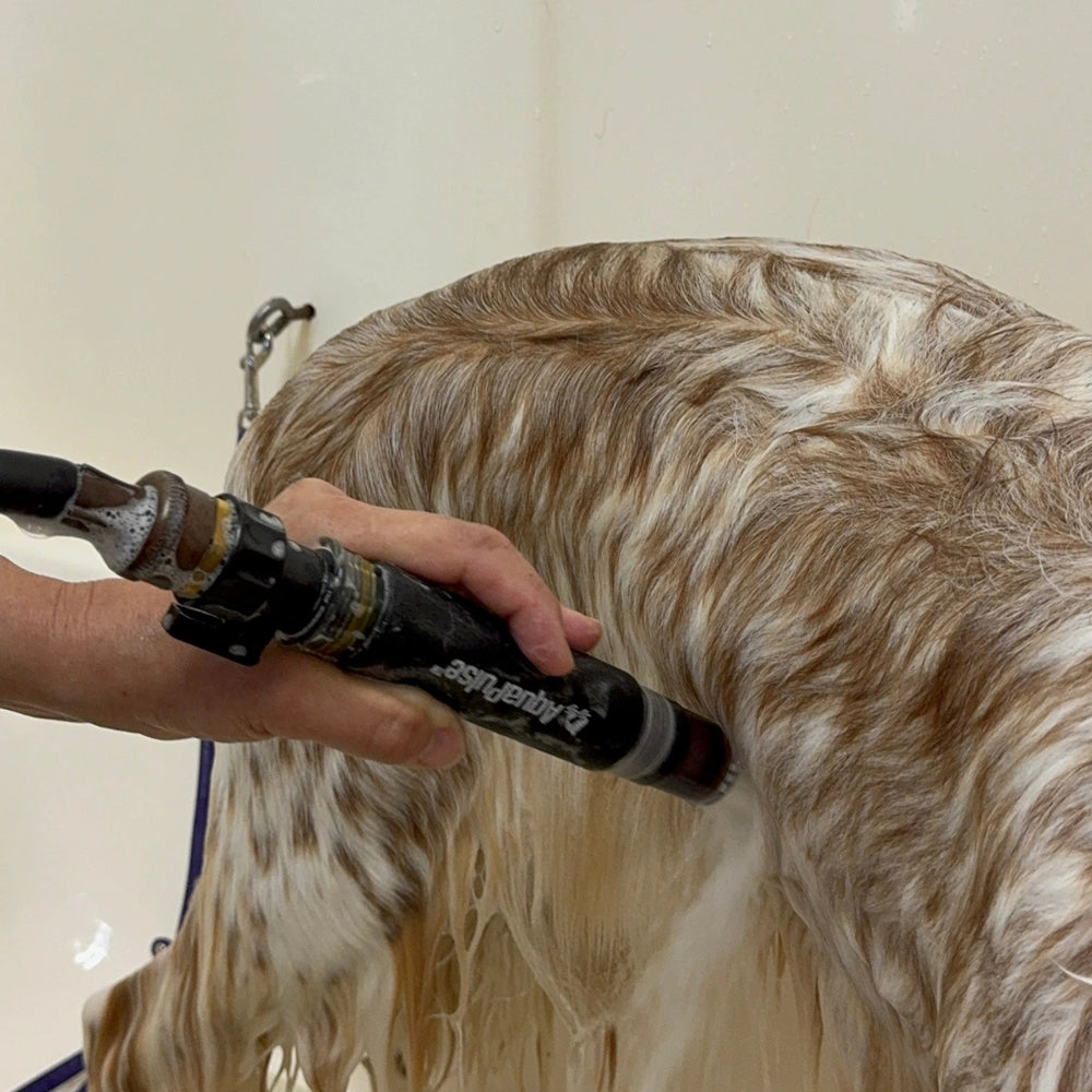 aquapulse-hydro-therapeutic-massage-nozzle-for-dogs