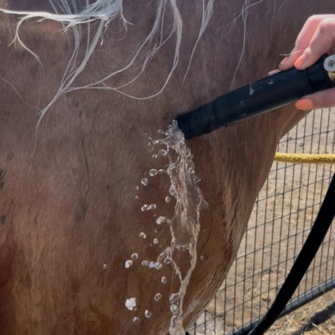 aquapulse-hydro-therapeutic-massage-nozzle-for-dogs
