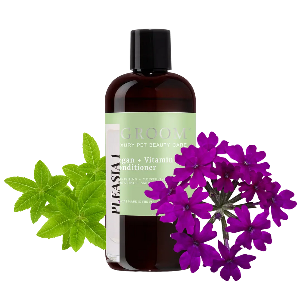 Argan and Vitamin E Conditioner 16oz by iGroom