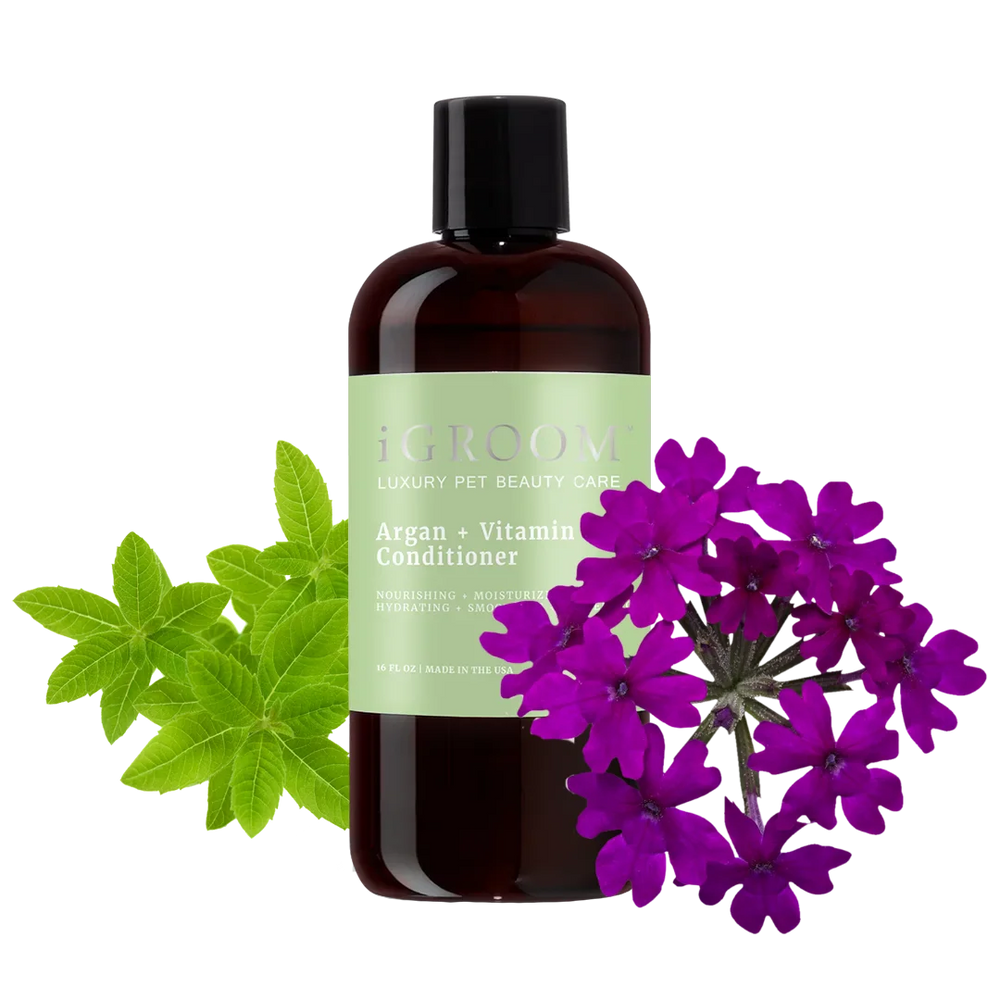 Argan and Vitamin E Conditioner 16oz by iGroom