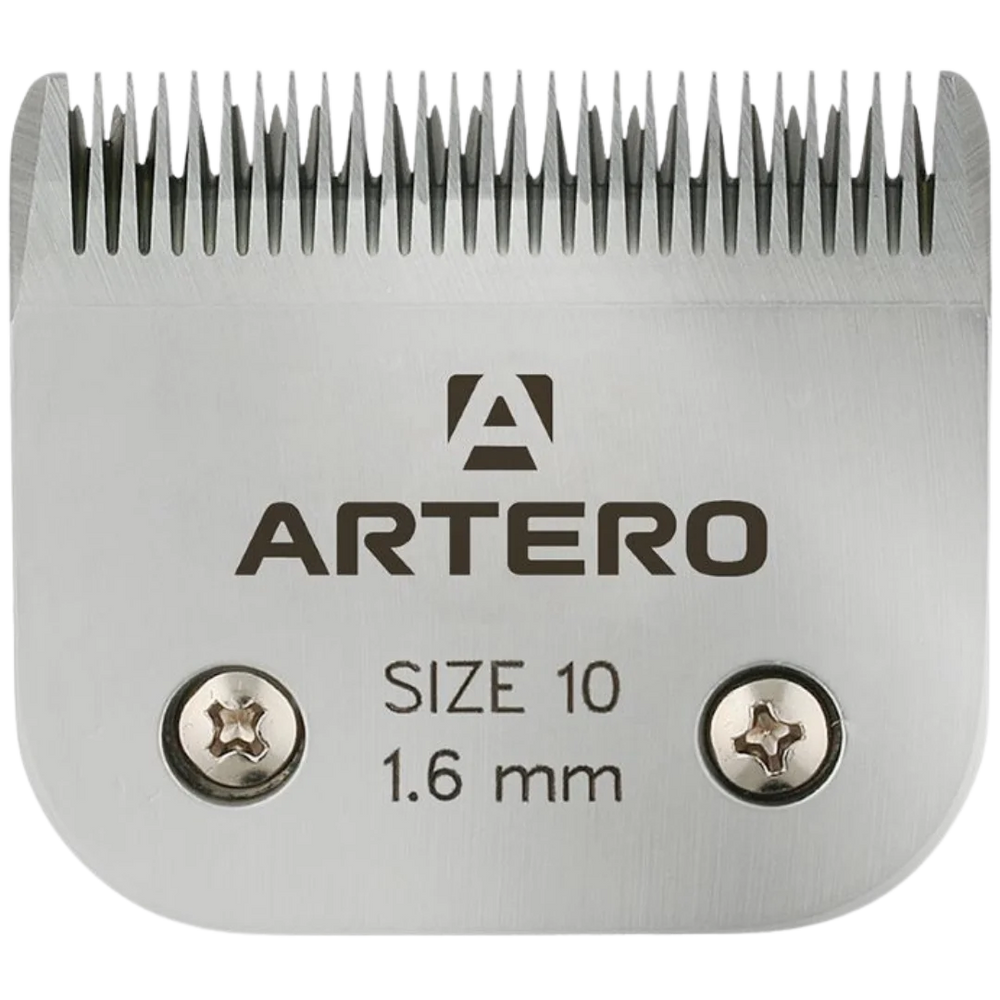 #10 Blade by Artero