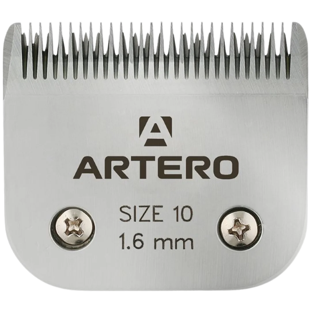 #10 Blade by Artero