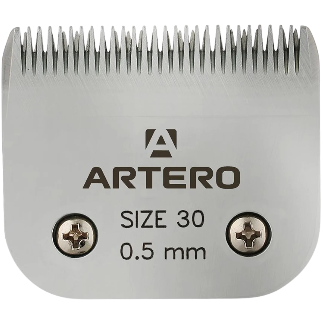 #30 Blade by Artero