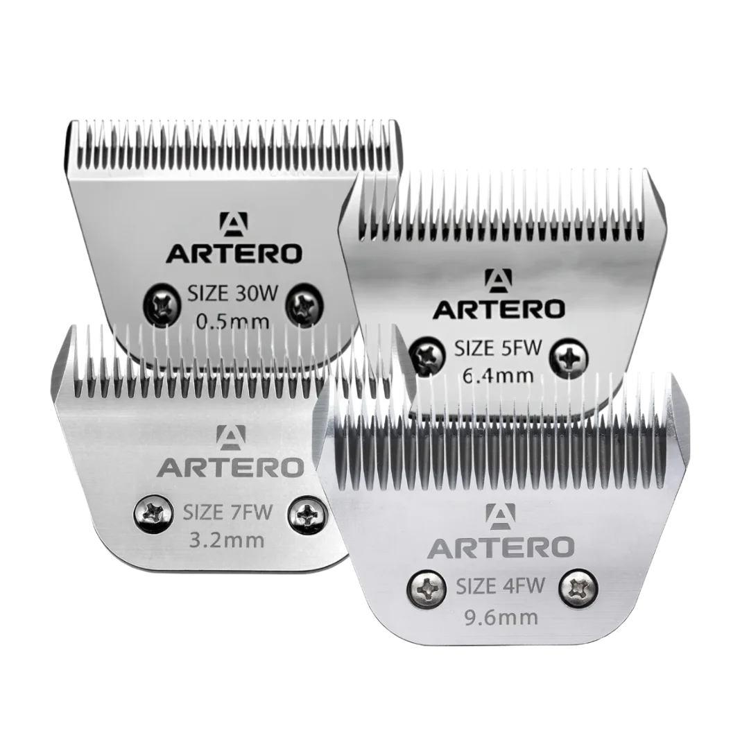 Best-Selling Wide Blades Set of 4 by Artero