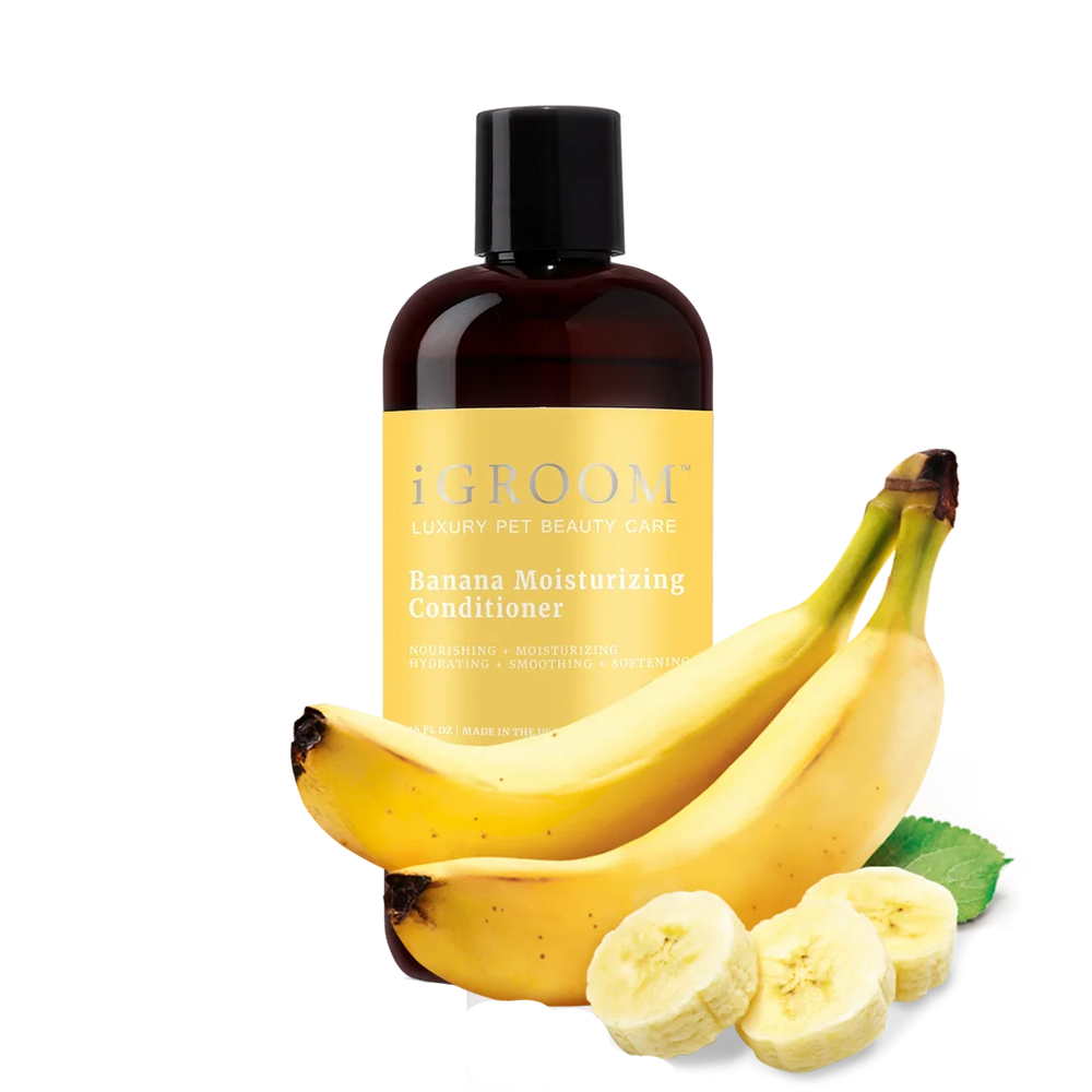 Banana Moisturizing Conditioner 16oz by iGroom