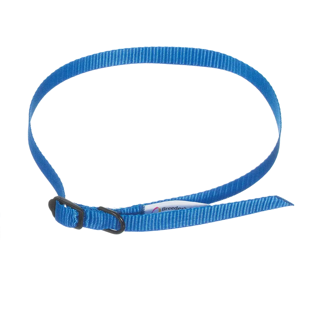 ID Me Take Me Home Leashes and Collars 12pk Assorted Colors by Breeder's Edge