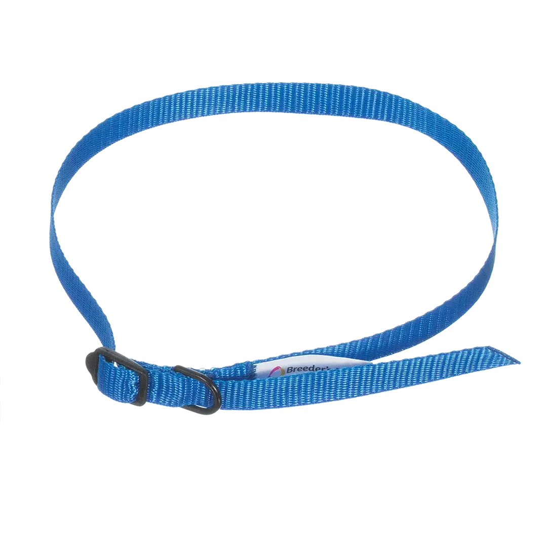ID Me Take Me Home Leashes and Collars 12pk Assorted Colors by Breeder's Edge