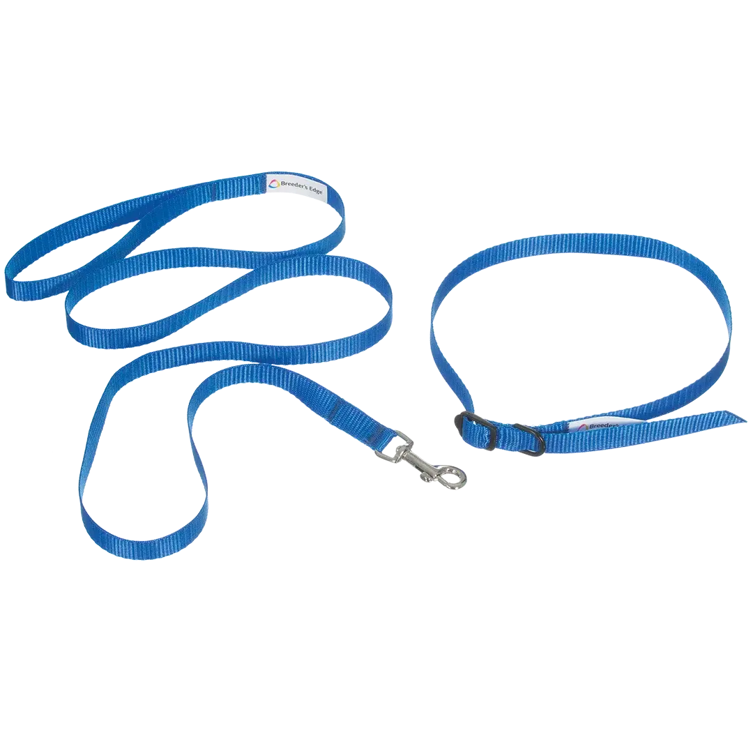 ID Me Take Me Home Leashes and Collars 12pk Assorted Colors by Breeder's Edge