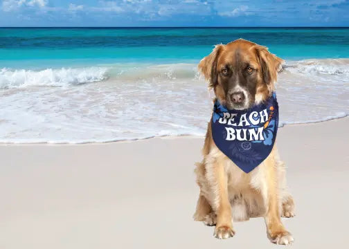 Beach Bum Cool Dog Bandana by Dog Fashion Living