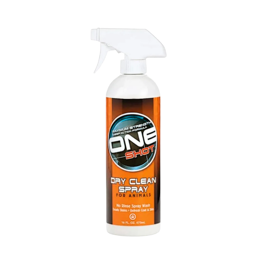 One Shot Dry Clean Spray Shampoo 16oz by Best Shot
