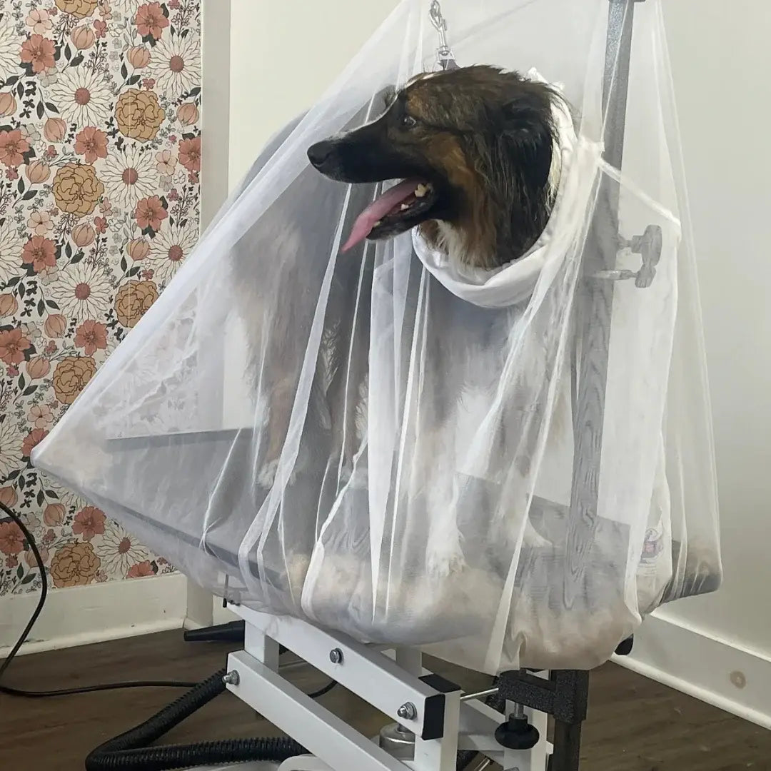 Flying Fur Catcher by Big Hair Net