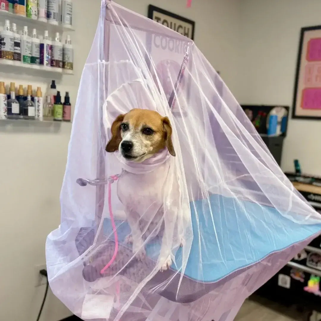 Flying Fur Catcher Purple by Big Hair Net