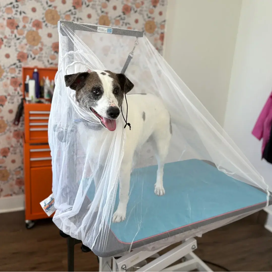 Flying Fur Catcher by Big Hair Net