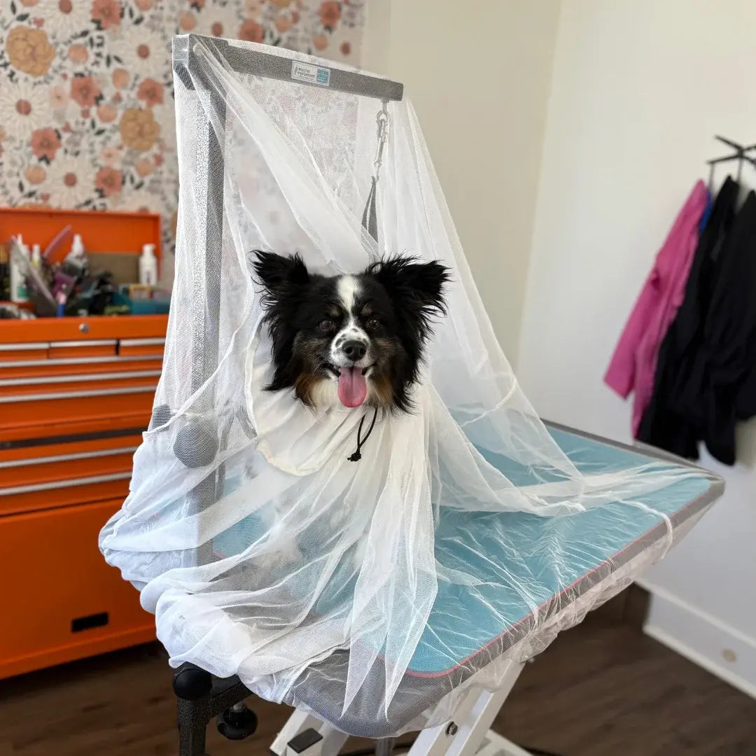 Flying Fur Catcher by Big Hair Net