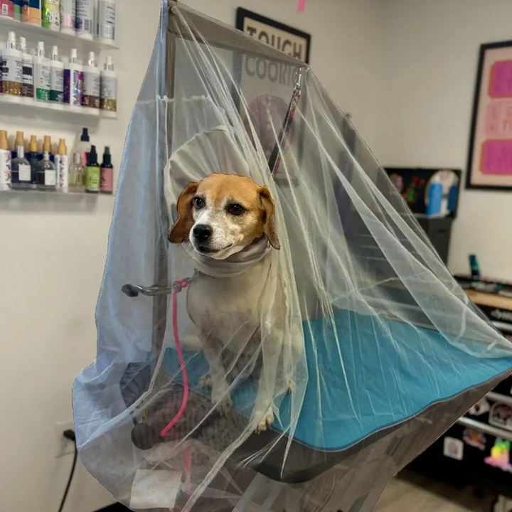 Big Hair Net Black Flying Fur Catcher