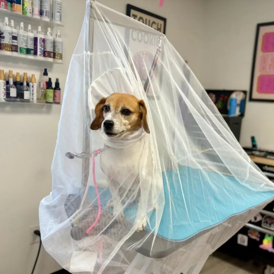 Flying Fur Catcher by Big Hair Net