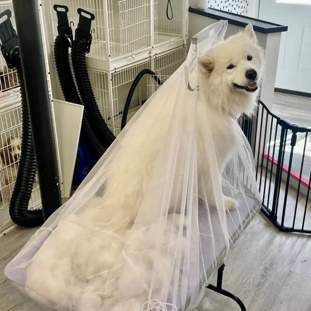 Flying Fur Catcher by Big Hair Net