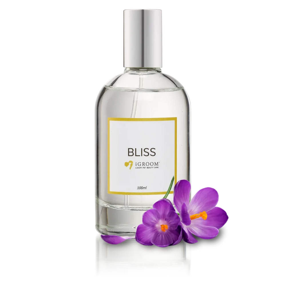 iGroom Bliss Perfume 100ml