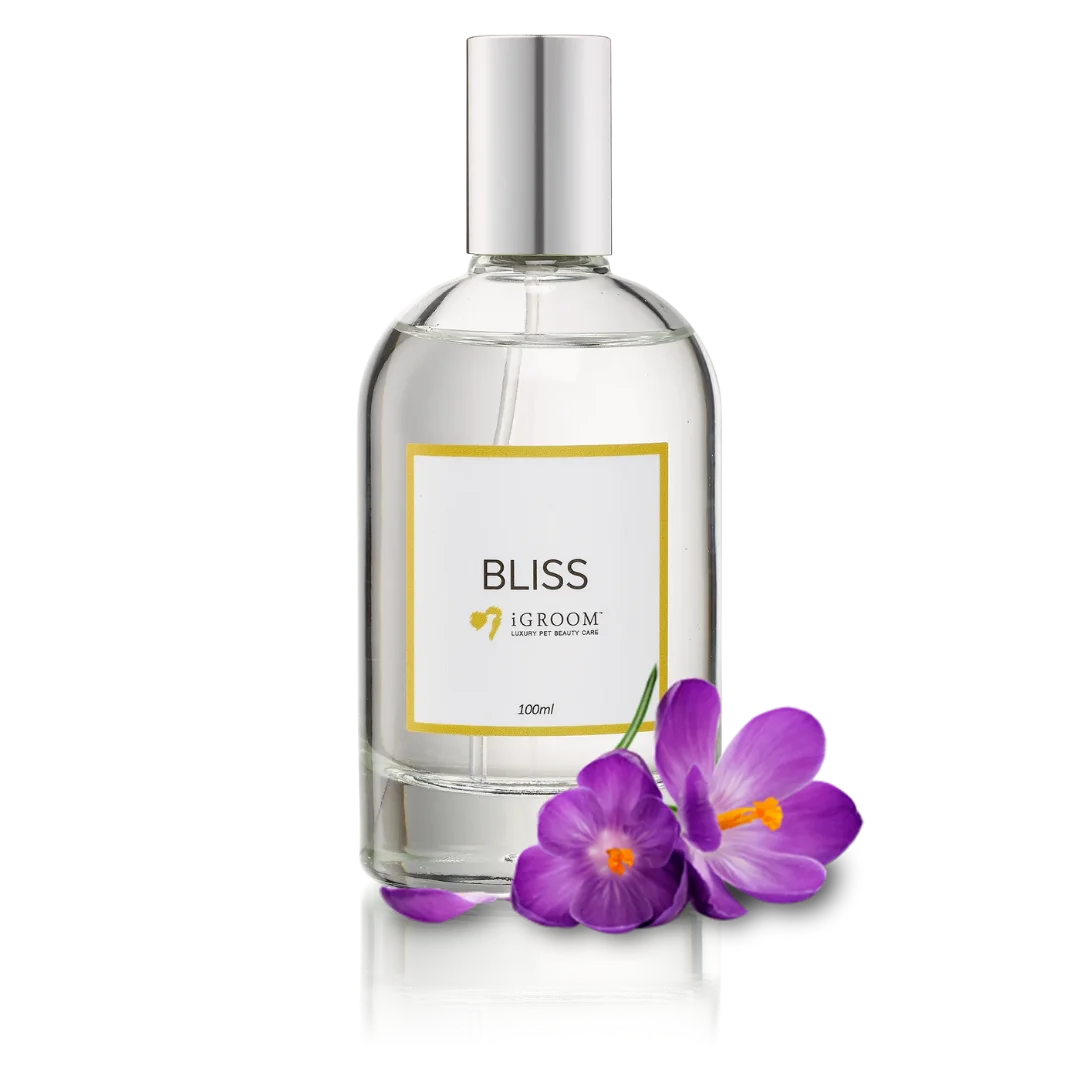 iGroom Bliss Perfume 100ml