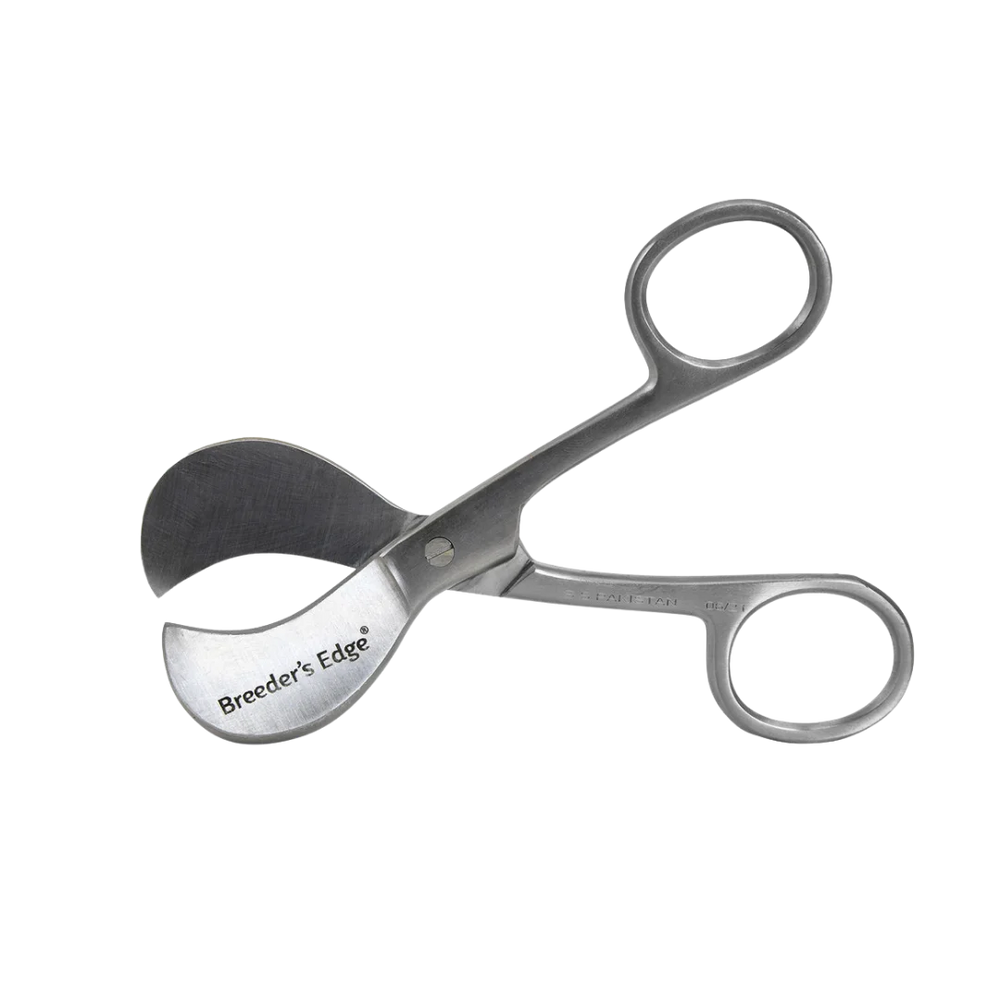 Clean Cut Umbilical Scissors by Breeder's Edge